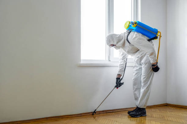 Best Residential Pest Control  in Williamstown, WV